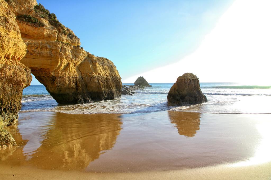 Rocha Tower By Beach Rentals Kültér fotó