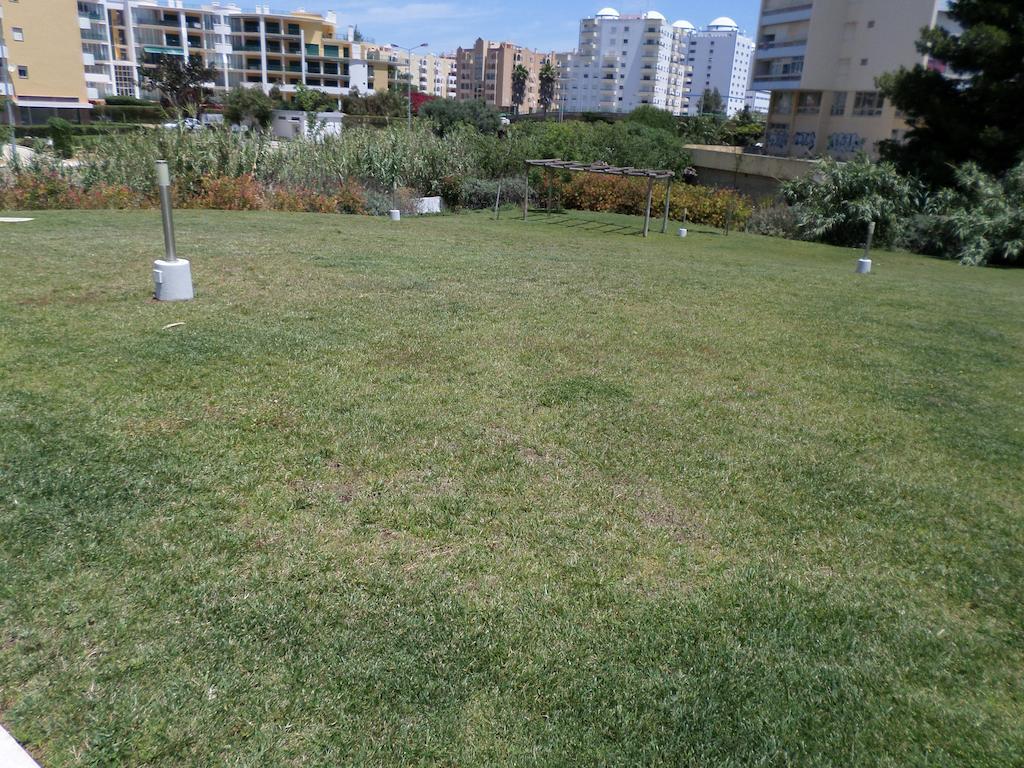 Rocha Tower By Beach Rentals Kültér fotó