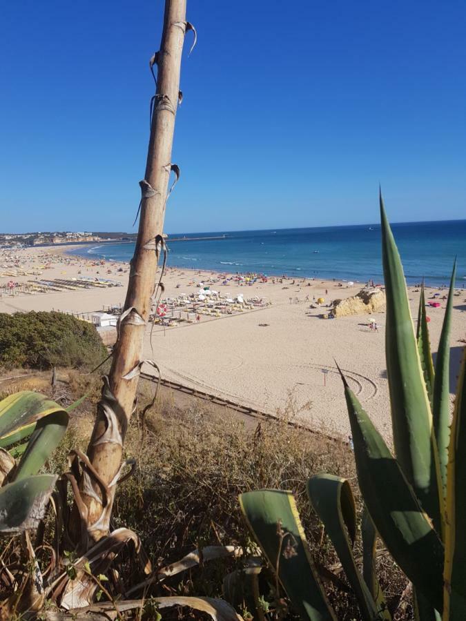 Rocha Tower By Beach Rentals Kültér fotó